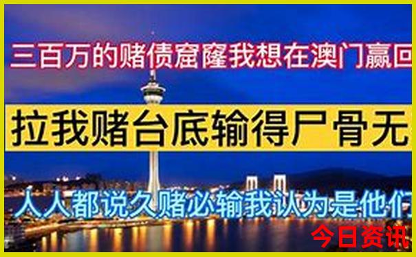 神算子论坛高手资料
